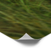 Poster Automne dans l'impression de cristal (Coin)
