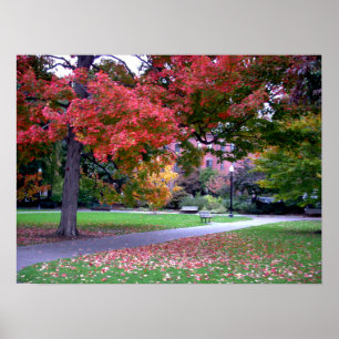 Poster Automne de jardin public