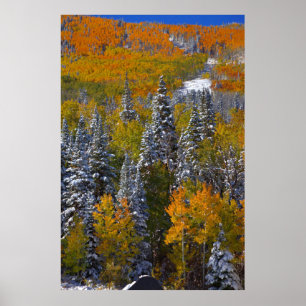Poster Automne du Colorado