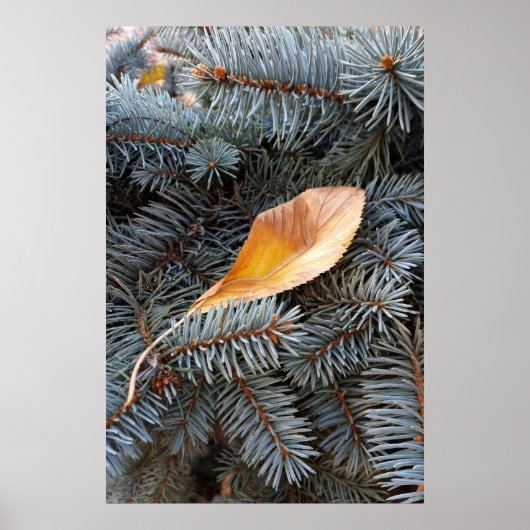 Poster automne et hiver (Devant)