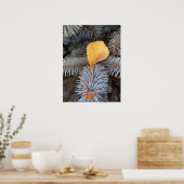 Poster automne et hiver (Cuisine)