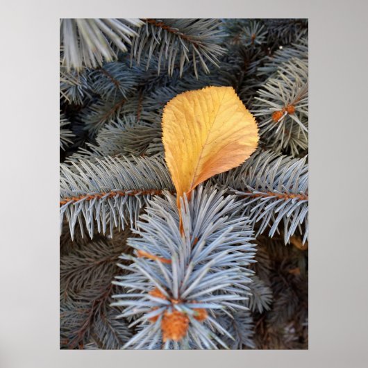 Poster automne et hiver (Devant)