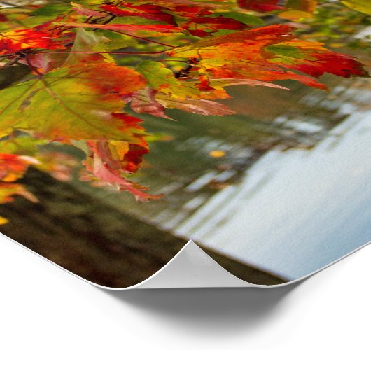 Poster Automne Feuille (Coin)