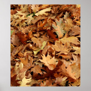 Poster automne, feuille sec
