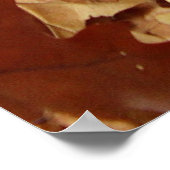 Poster automne, feuille sec (Coin)