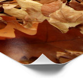 Poster automne, feuille sec (Coin)