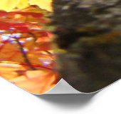 Poster Automne Feuilles d'art estampes Coloré Arbre d'aut (Coin)