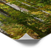 Poster Automne Forêt I Automne Paysage Photographie (Coin)