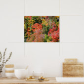 Poster Automne Hillside Colorful Automne Nature Photograp (Cuisine)