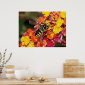 Poster Automne Insecte (Cuisine)