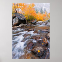 Automne le long de Bishop Creek, CA
