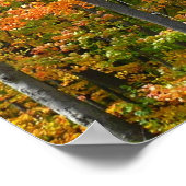 Poster Automne Maple Trees Automne Photographie de la nat (Coin)