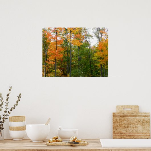 Poster Automne Maple Trees Automne Photographie de la nat (Cuisine)