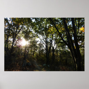 Poster Automne Matin au Parc national de Shenandoah