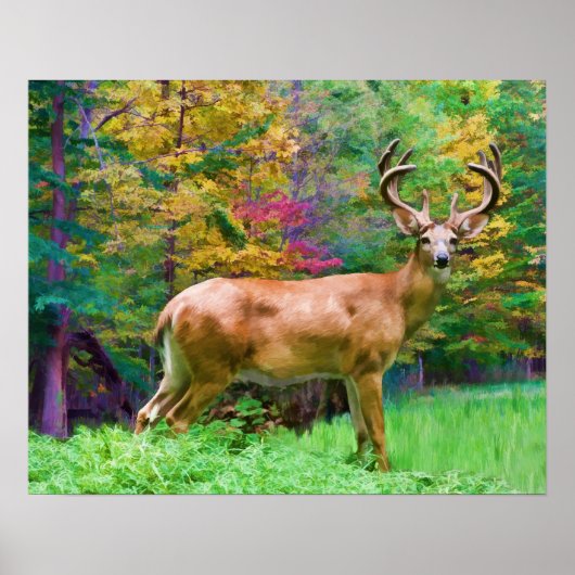 Poster Automne Matin Imprimer (Devant)