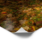 Poster Automne nord-est (Coin)