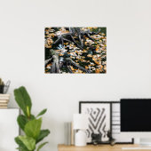 Poster Automne Otter Pond Feuille (Bureau à domicile)