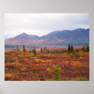 Poster Automne pittoresque en parc national de Denali,