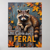 Poster Automne Prowler : Raccoon sur la clôture Patinée (Devant)