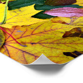 Poster automne saison arbre texture feuille motif arrière (Coin)