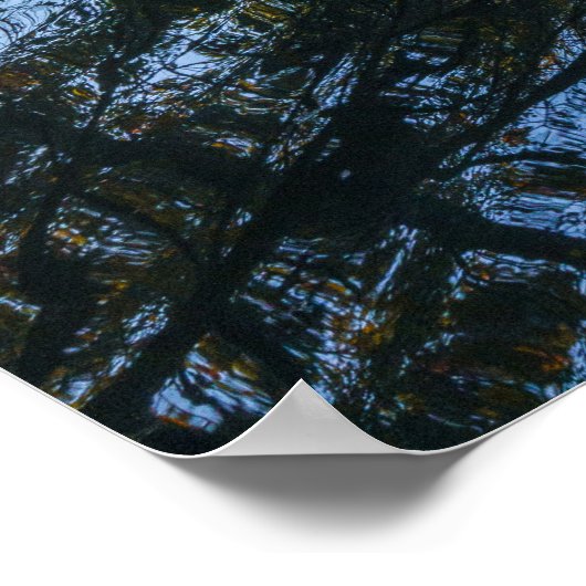 Poster Automne Serenity Vajdahunyad Castle à Budapest (Coin)