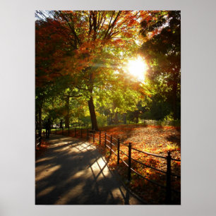 Poster Automne Sun dans le Central Park, NYC, milieu