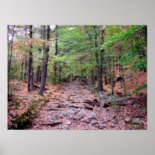 Poster Automne sur Blue Hills Réservation Red Dot Trail