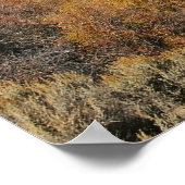 Poster Automne sur la rivière Gunnison, Colorado (Coin)