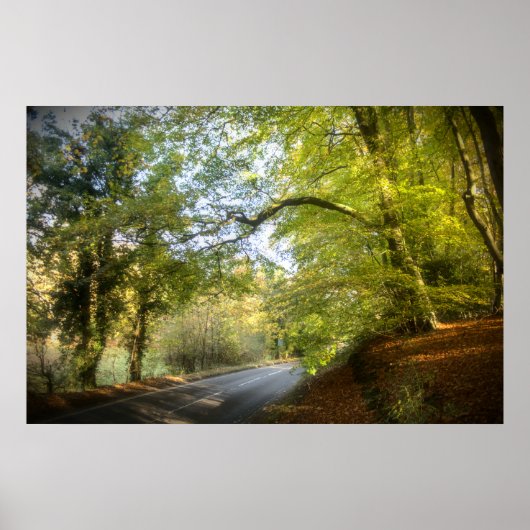 Poster Automne Woodland (4316) (Devant)