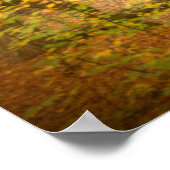 Poster Automne Woodland (4364) (Coin)