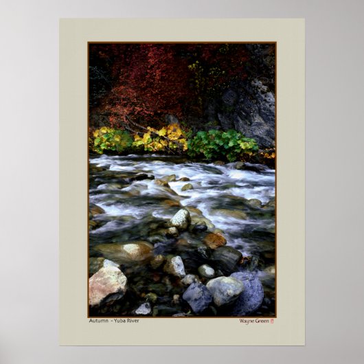 Poster Automne - Yuba River, Californie (Devant)