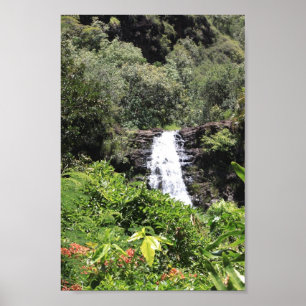 Poster Automnes de Waimea