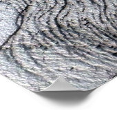 Poster - Autoportrait de Léonard de Vinci (Coin)