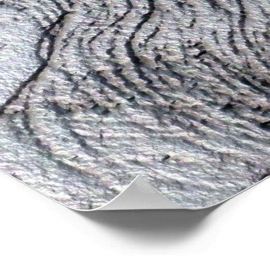 Poster - Autoportrait de Léonard de Vinci (Coin)