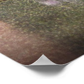 Poster Autre - La chaussure de Lee Shine Stand (Coin)