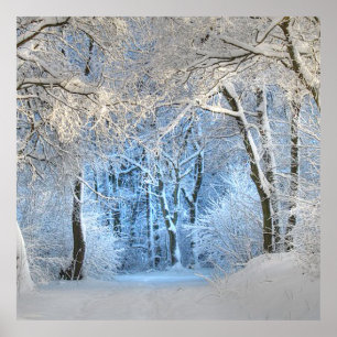 Poster autre pays des merveilles hivernales