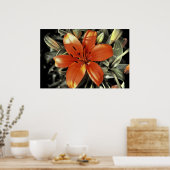 Poster Autre prise d'orange (Cuisine)