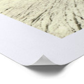 Poster Autriche vintage, Grossglockner (Coin)