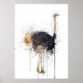 Poster Autruche (Devant)