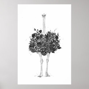 Poster Autruche florale