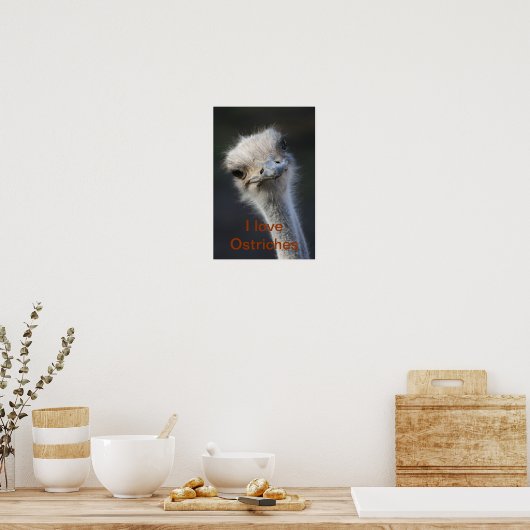 Poster autruches (Cuisine)