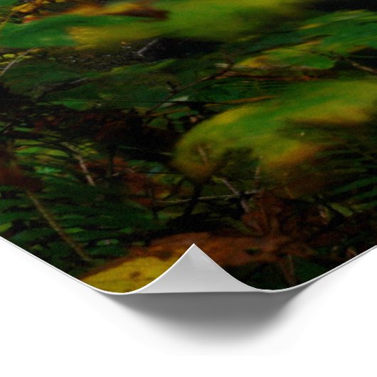 Poster Autum Lower South Falls (Coin)