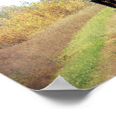 Poster Autumn Amish Horse and Buggy (Coin)