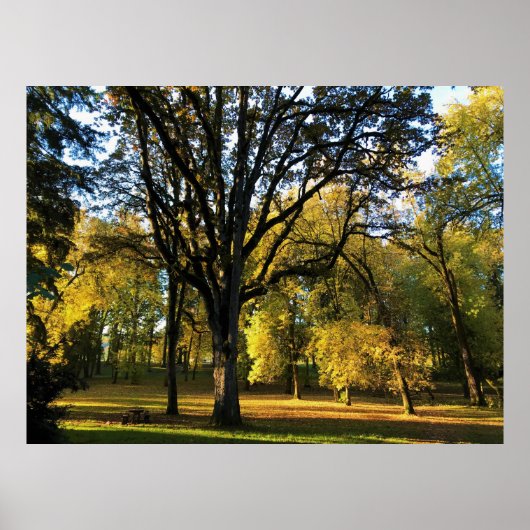 Poster Autumn at Champoeg State Park (Devant)