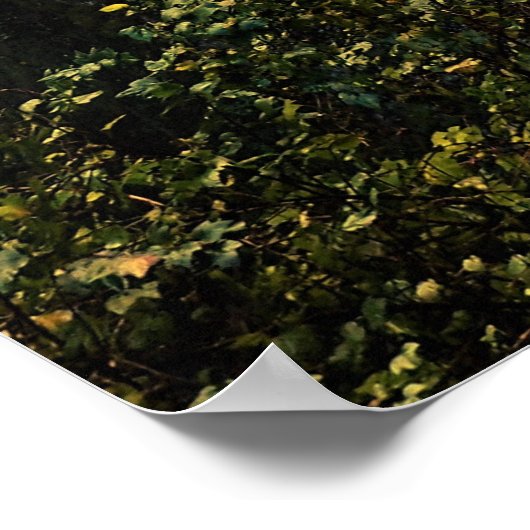 Poster Autumn at Multnomah Falls (Coin)