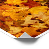 Poster Autumn by Johannes Stötter (Coin)