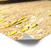 Poster Autumn Caddy (Coin)