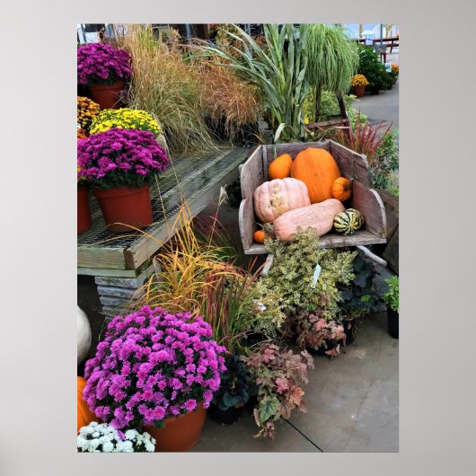 Poster Autumn Decor (Devant)