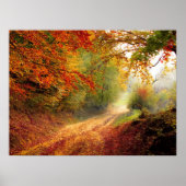 Poster Autumn forest (Devant)