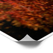 Poster Autumn Forest by Johannes Stötter (Coin)